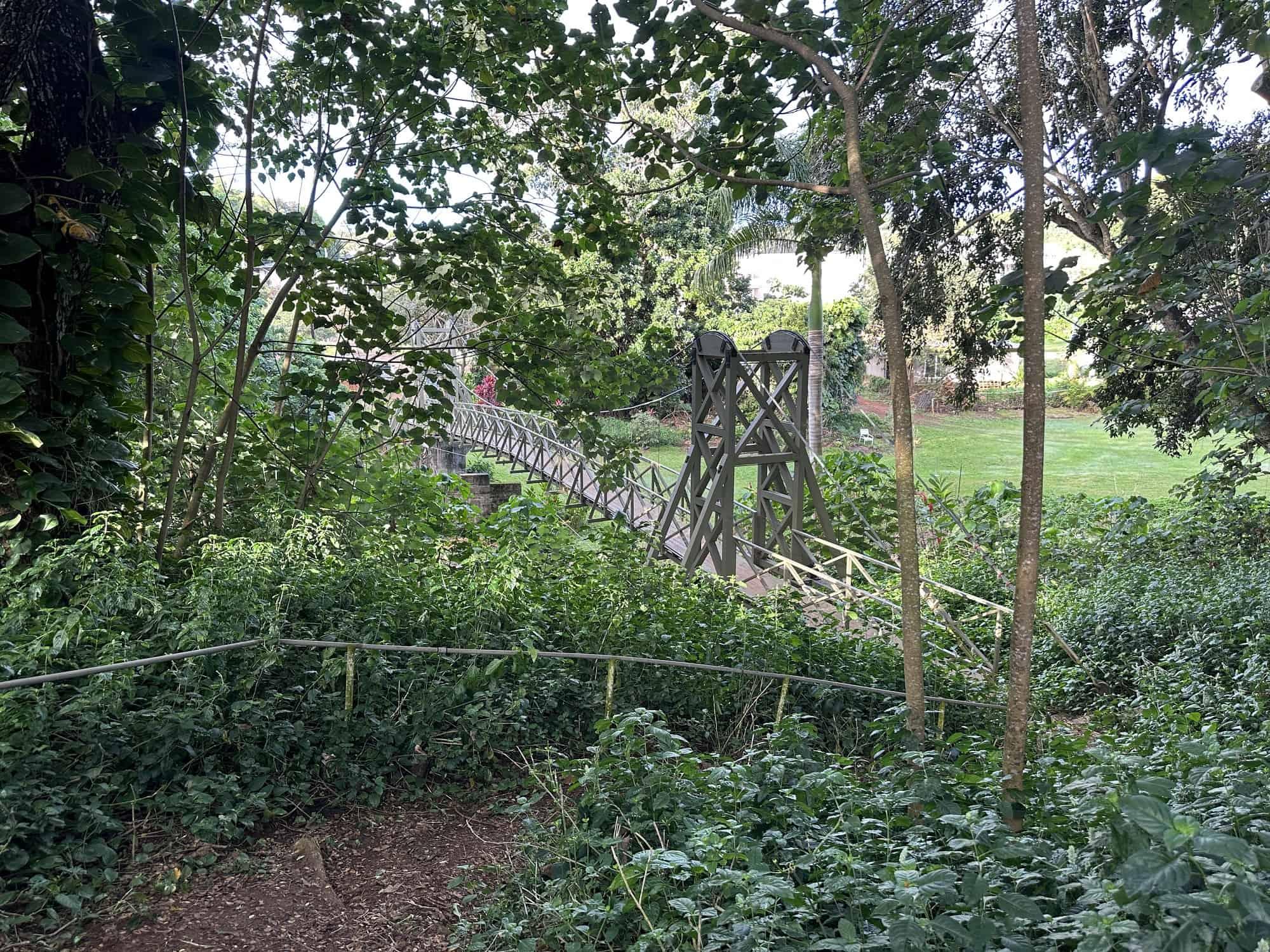 Kapaia Swinging Bridge