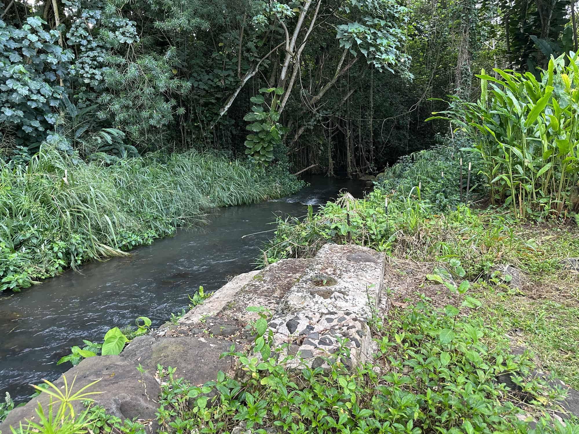 Kapaia Swinging Bridge