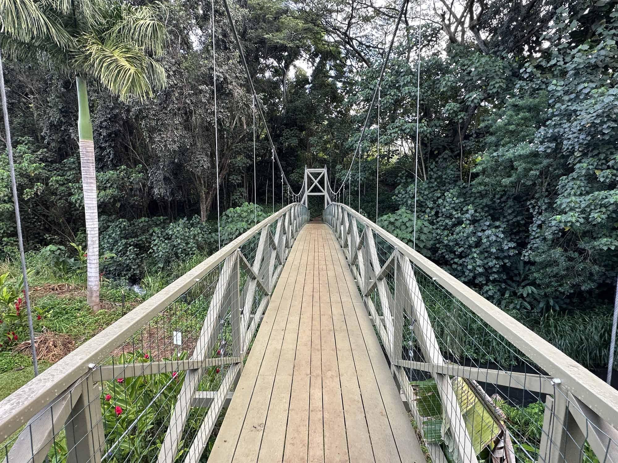 Kapaia Swinging Bridge