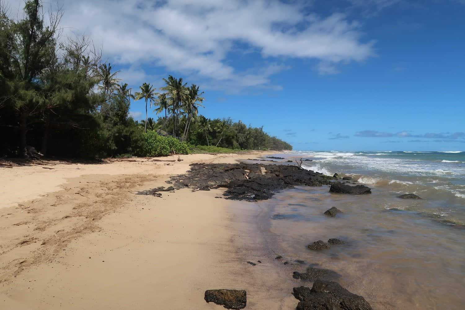 Gillin's Beach Kauai