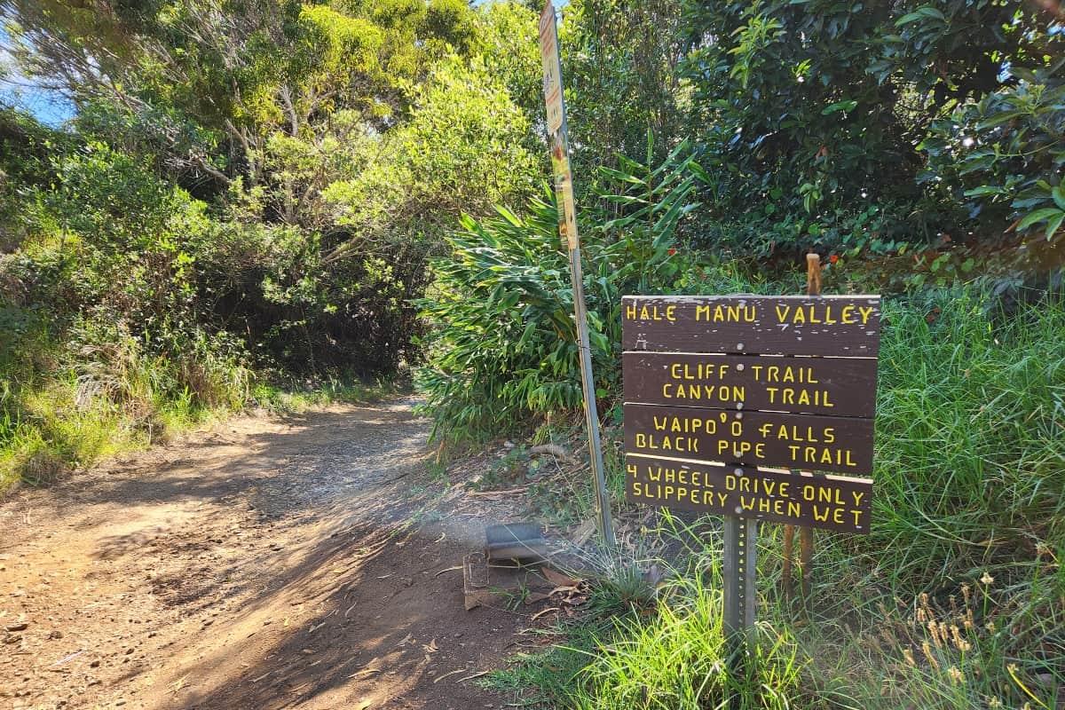 Canyon Trail to Waipo'o Falls
