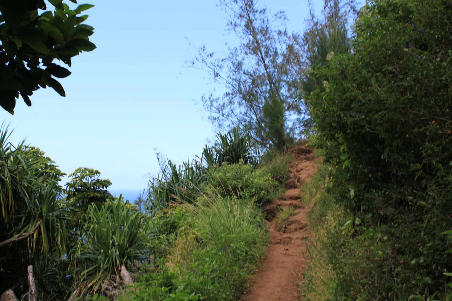 Hanakapiai Trail