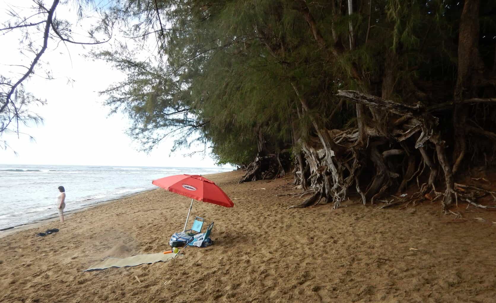 Ke'e Beach umbrella