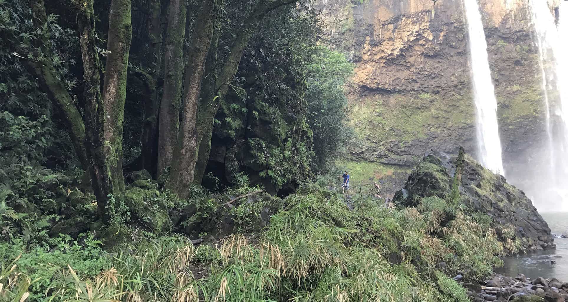 Wailua Falls trail