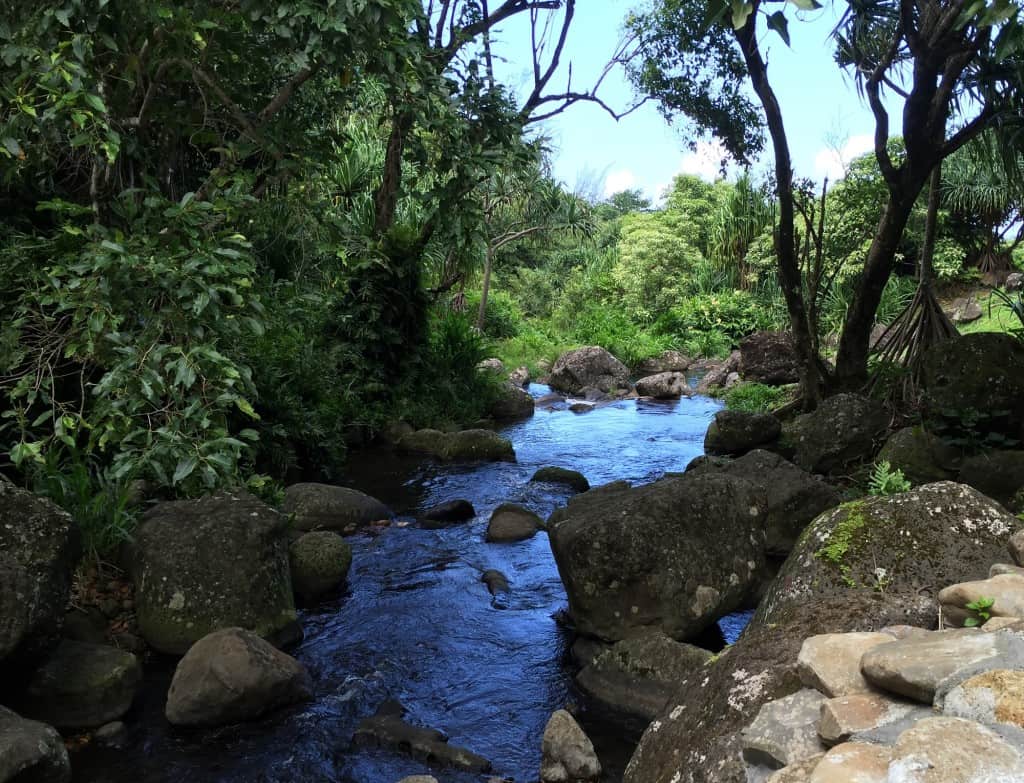 Limahuli Garden and Preserve stream