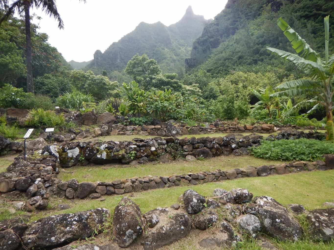 Limahuli Garden stone walls