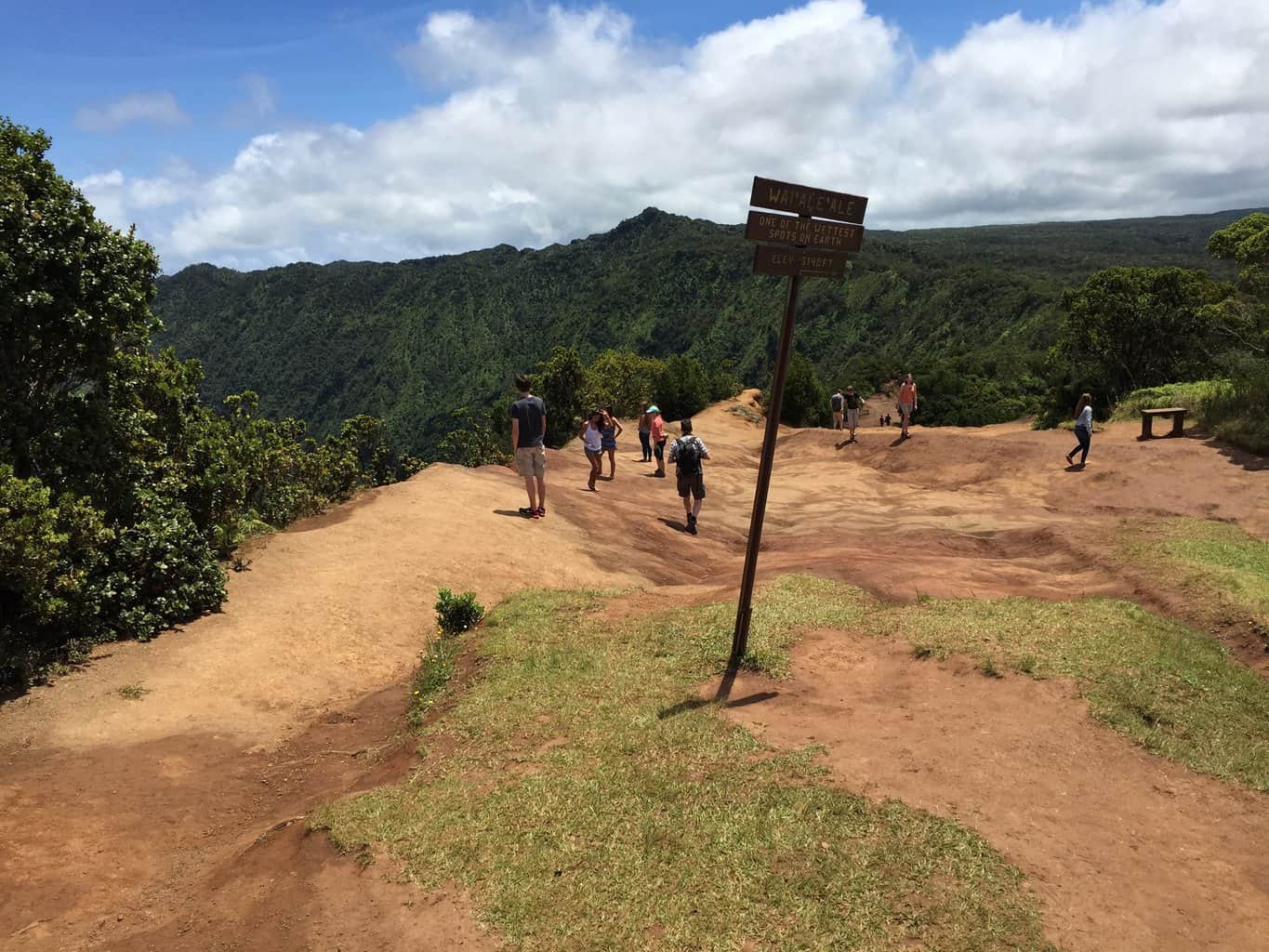 Pihea Trail Kauai