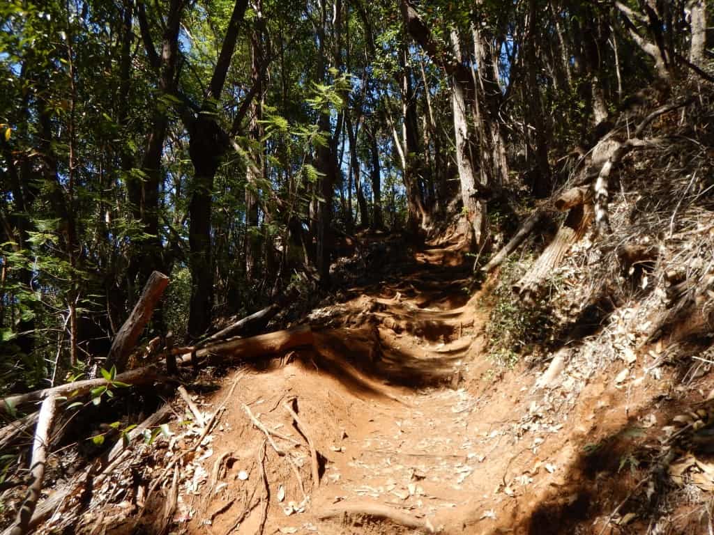 Cliff Trail Kauai