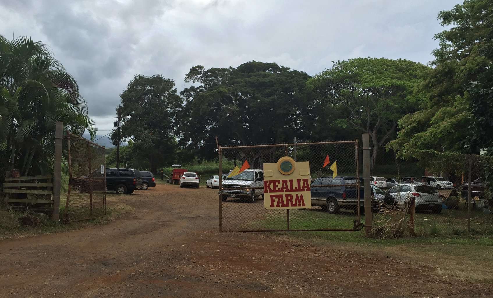 Kealia Road Kauai