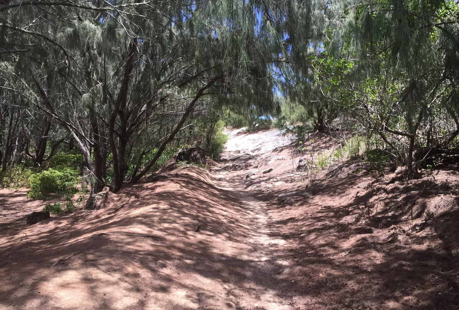 Mahaulepu Trail