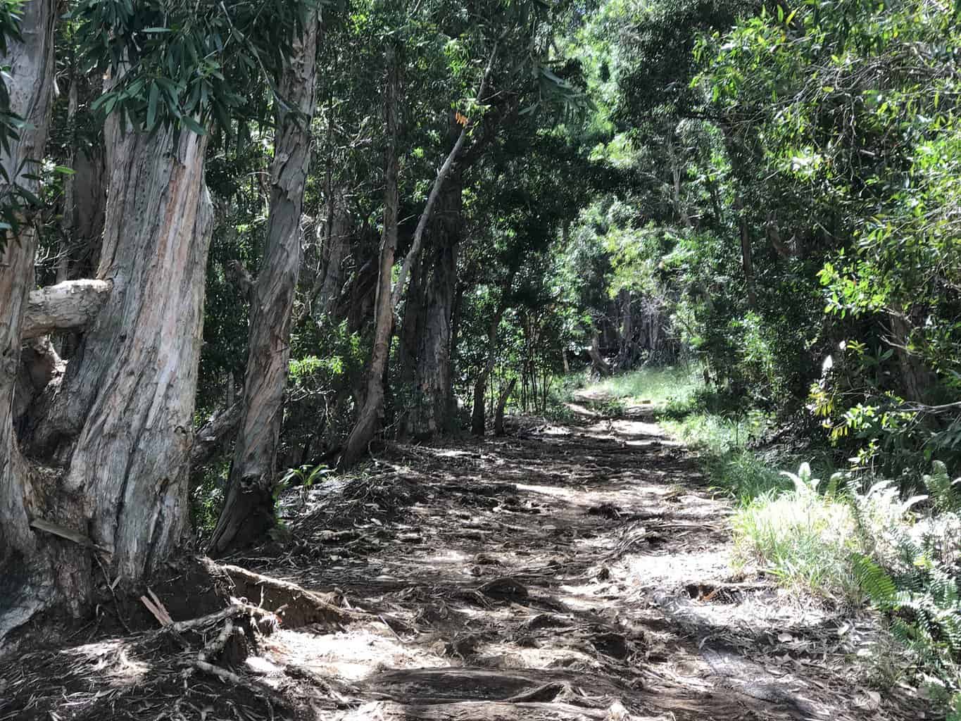 Okolehao Trail