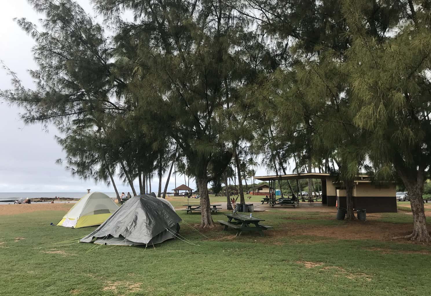 Camping Permits Now Available for Salt Pond and Lydgate Beach Parks