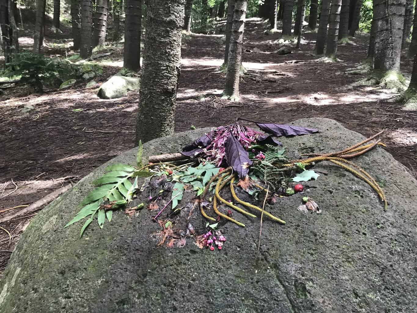 Hiker Dies on Kauai’s Nounou East Side Sleeping Giant Trail