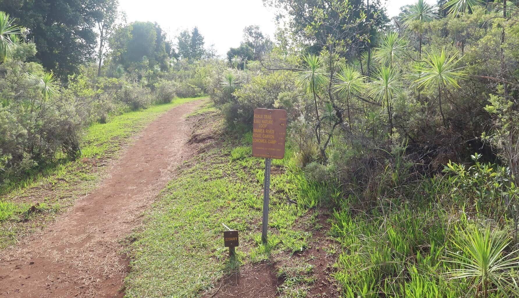 Iliau Nature Loop Trail