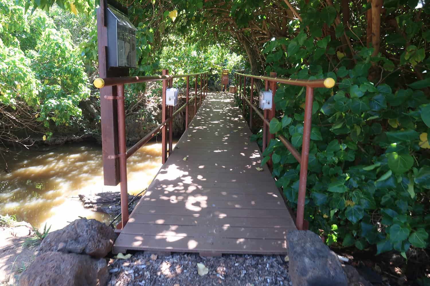Wooden bridge for cave