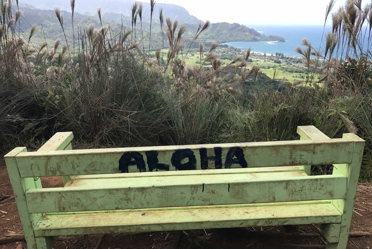 Okolehao Trail Kauai