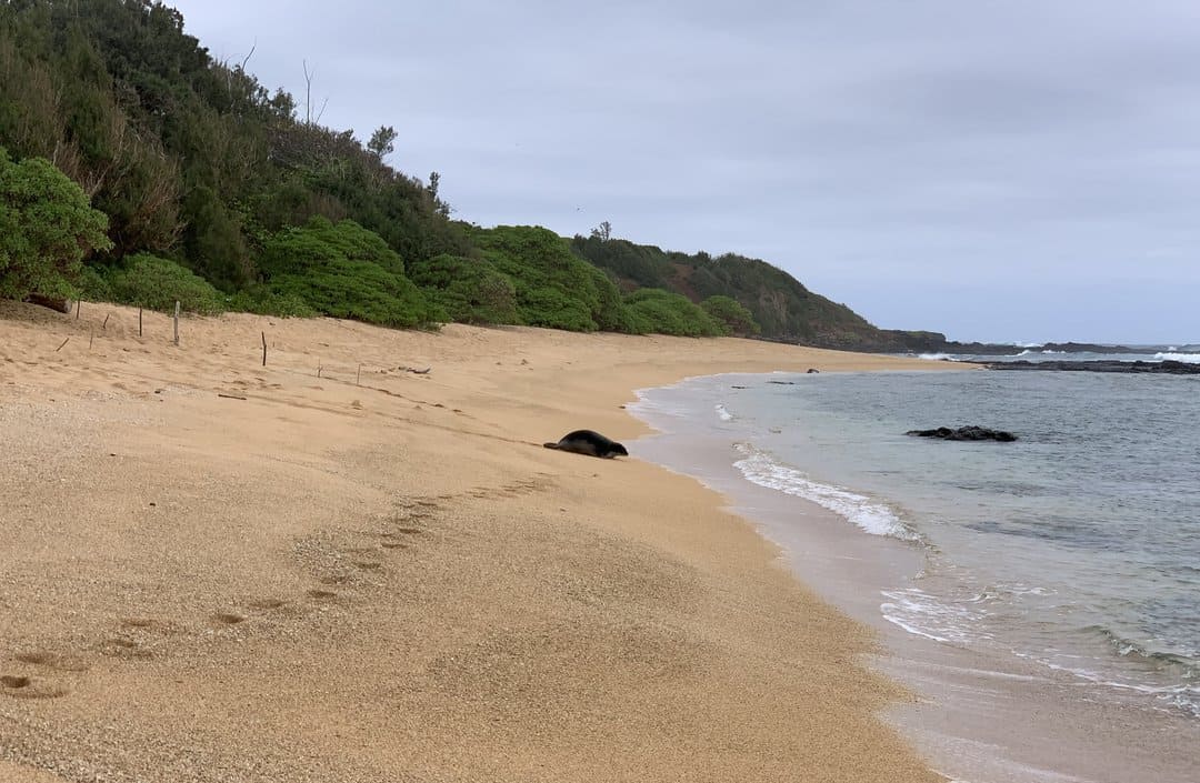Waipake Beach Kauai