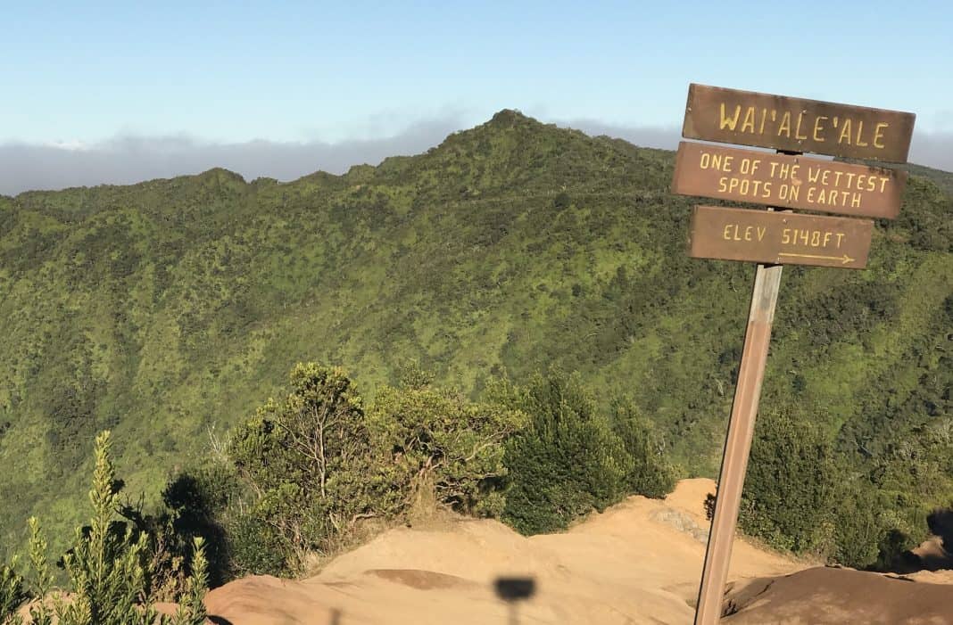 Is Kauai the Wettest Place on Earth?