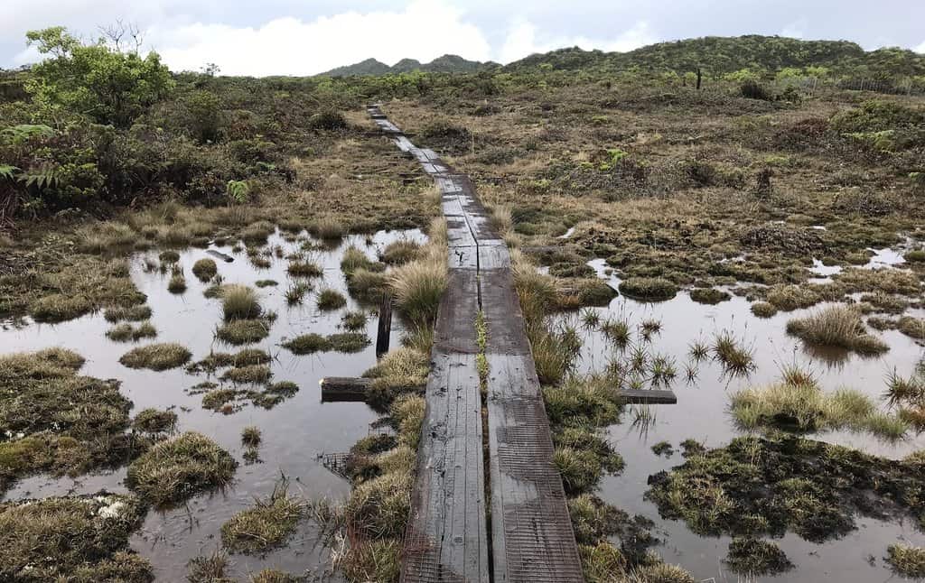 World's Highest Swamp
