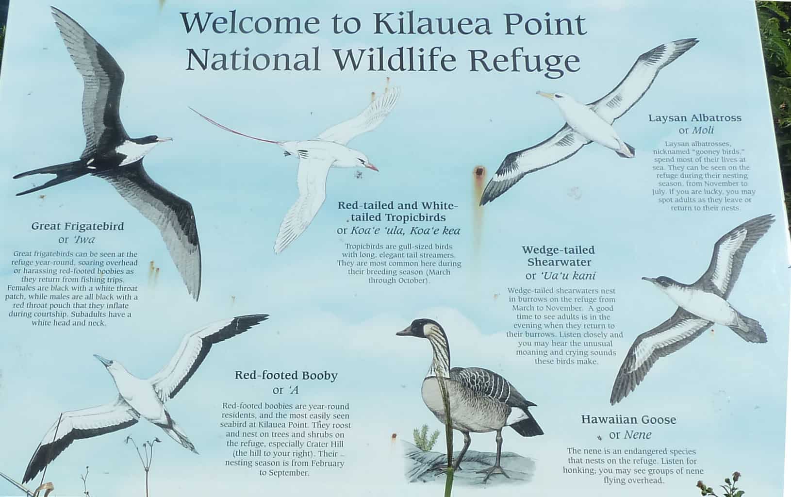 Kilauea LIghthouse