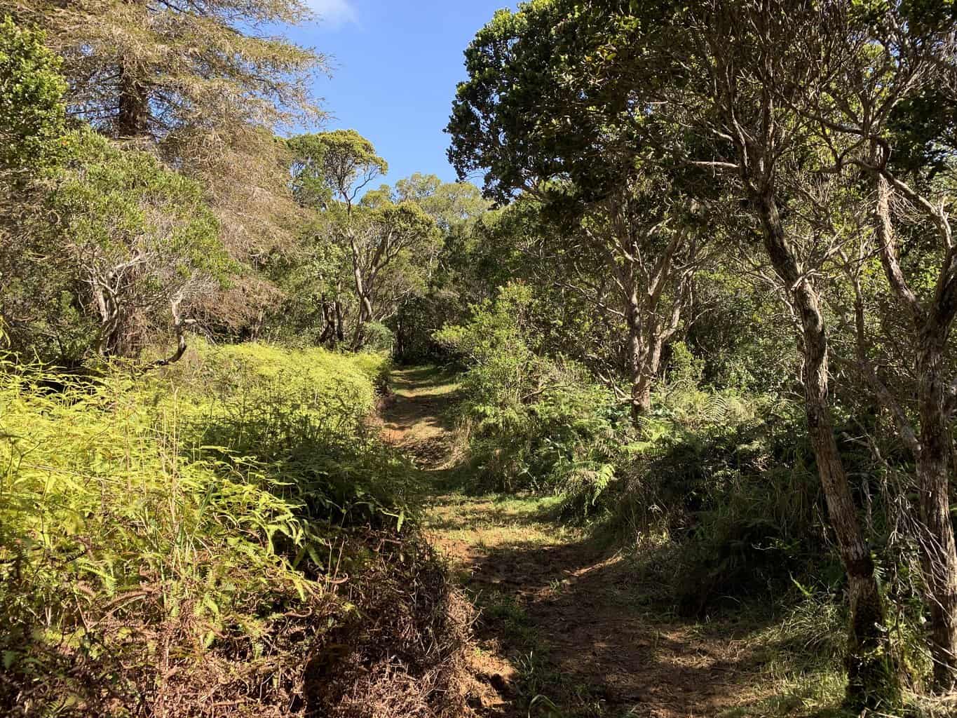 Kaluapuhi Trail