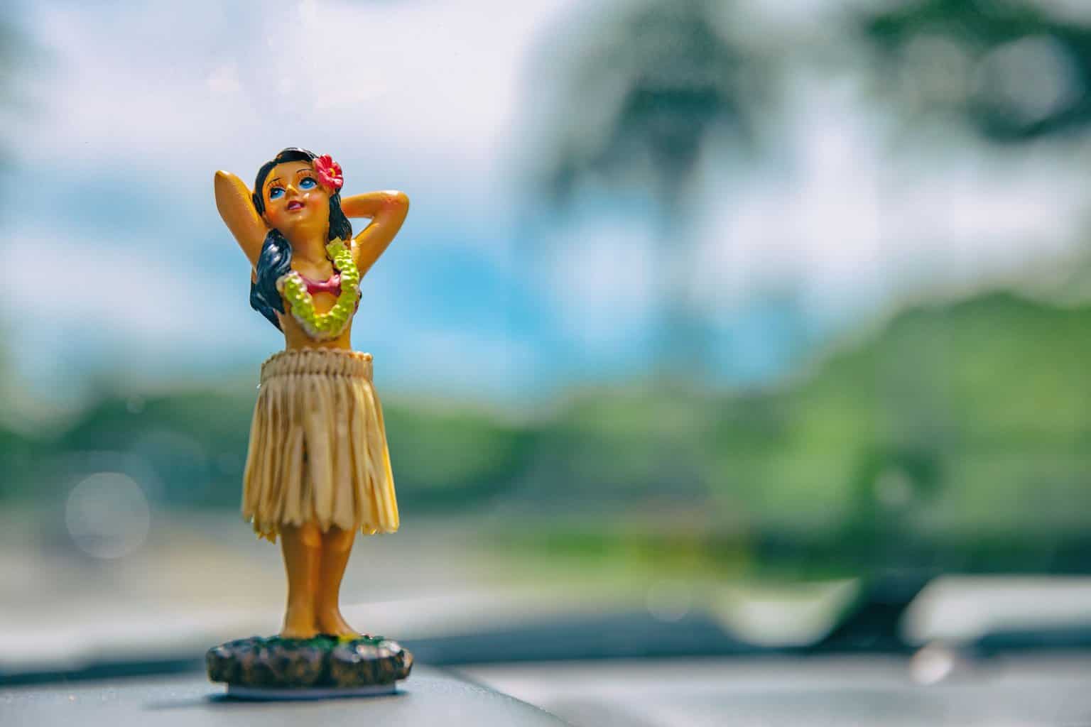 Kauai Souvenirs