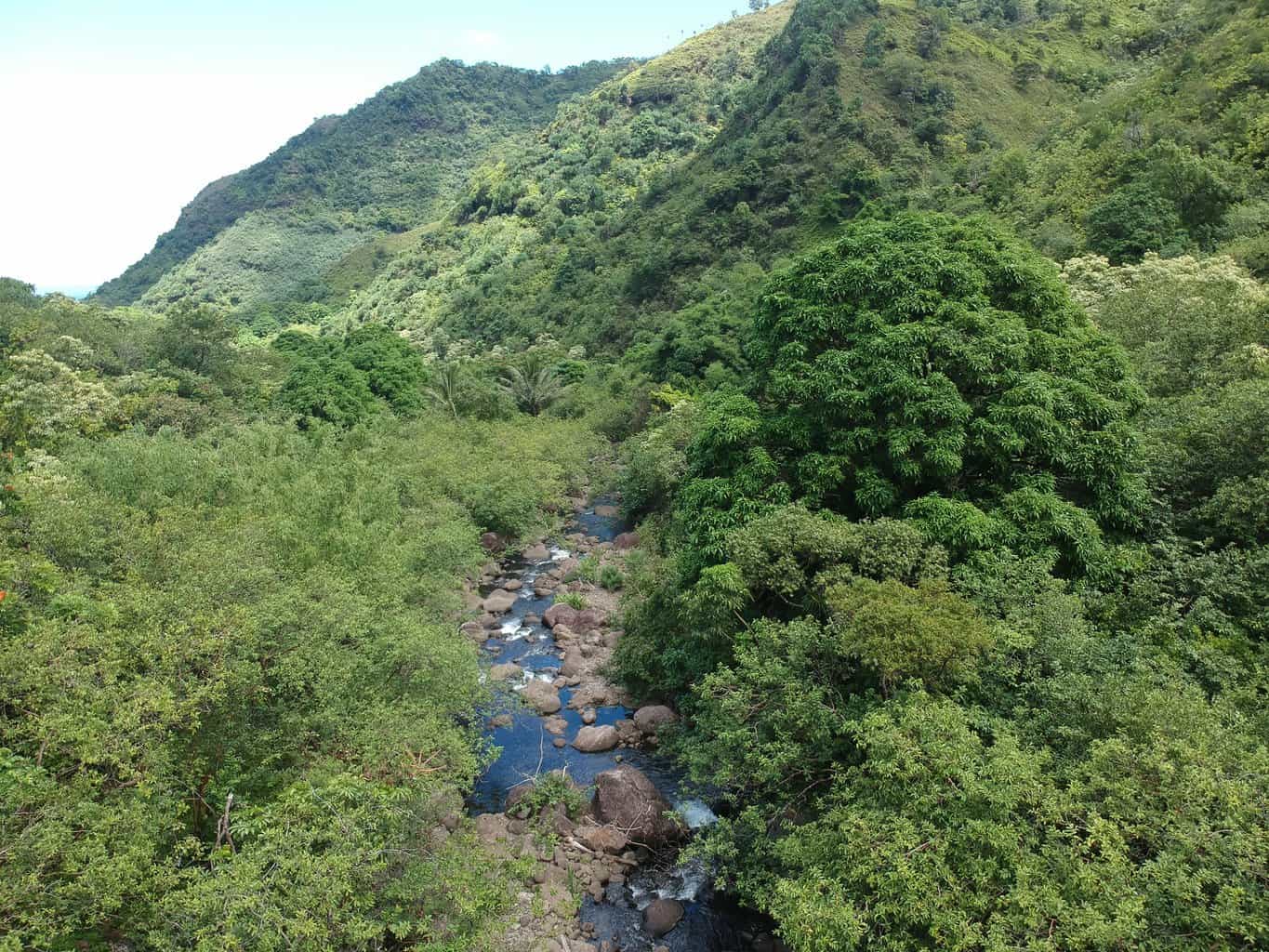 Hanakapiai Falls Trail