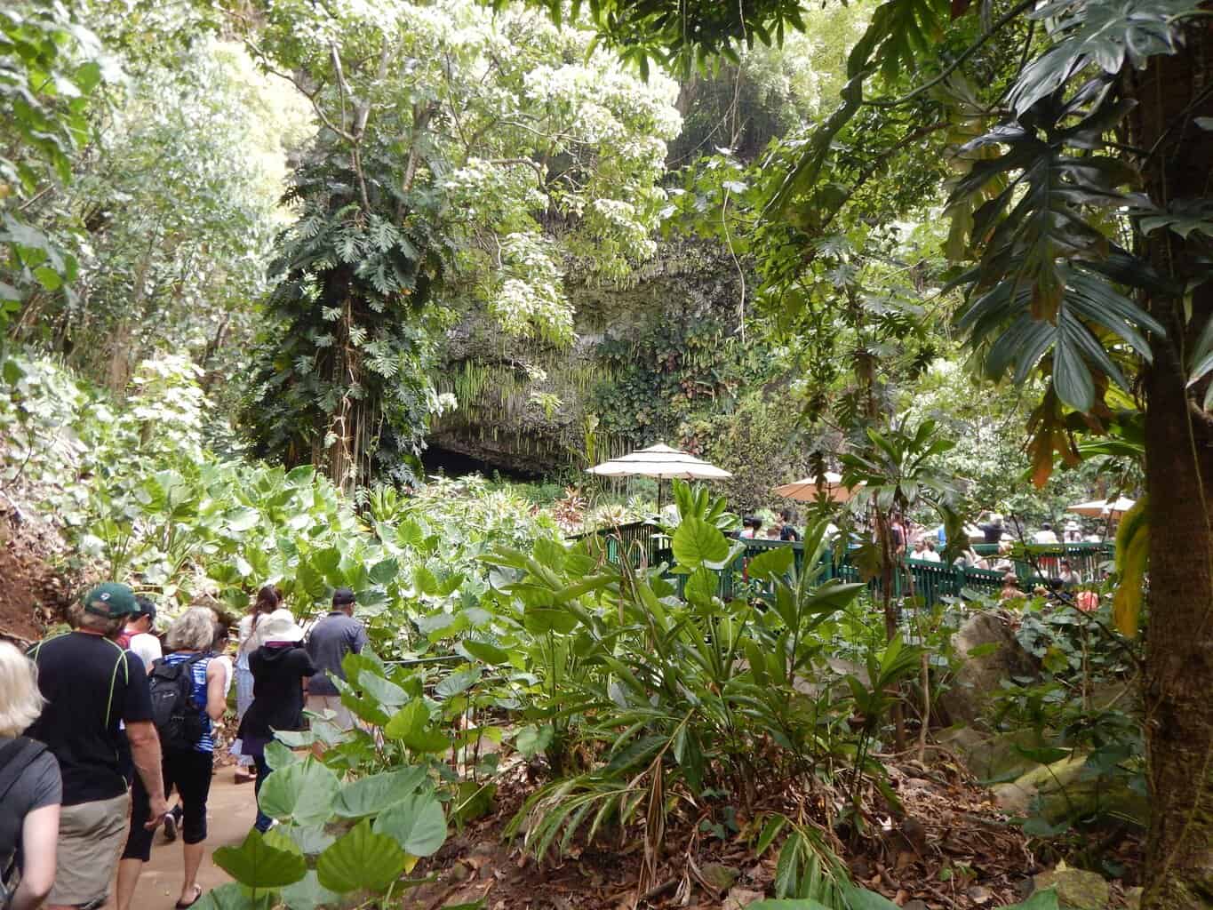 Fern Grotto Kauai