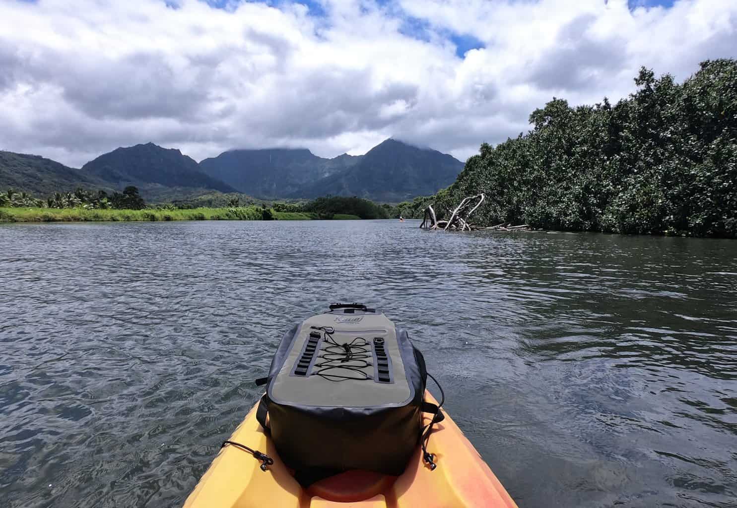 How To Kayak The Hanalei River Guide