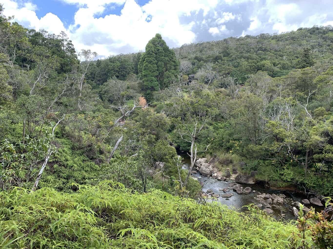 Kawaikoi Stream Trail