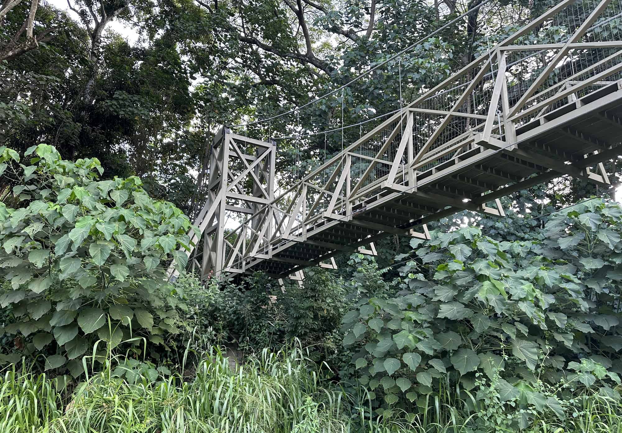 Kapaia Suspension Bridge