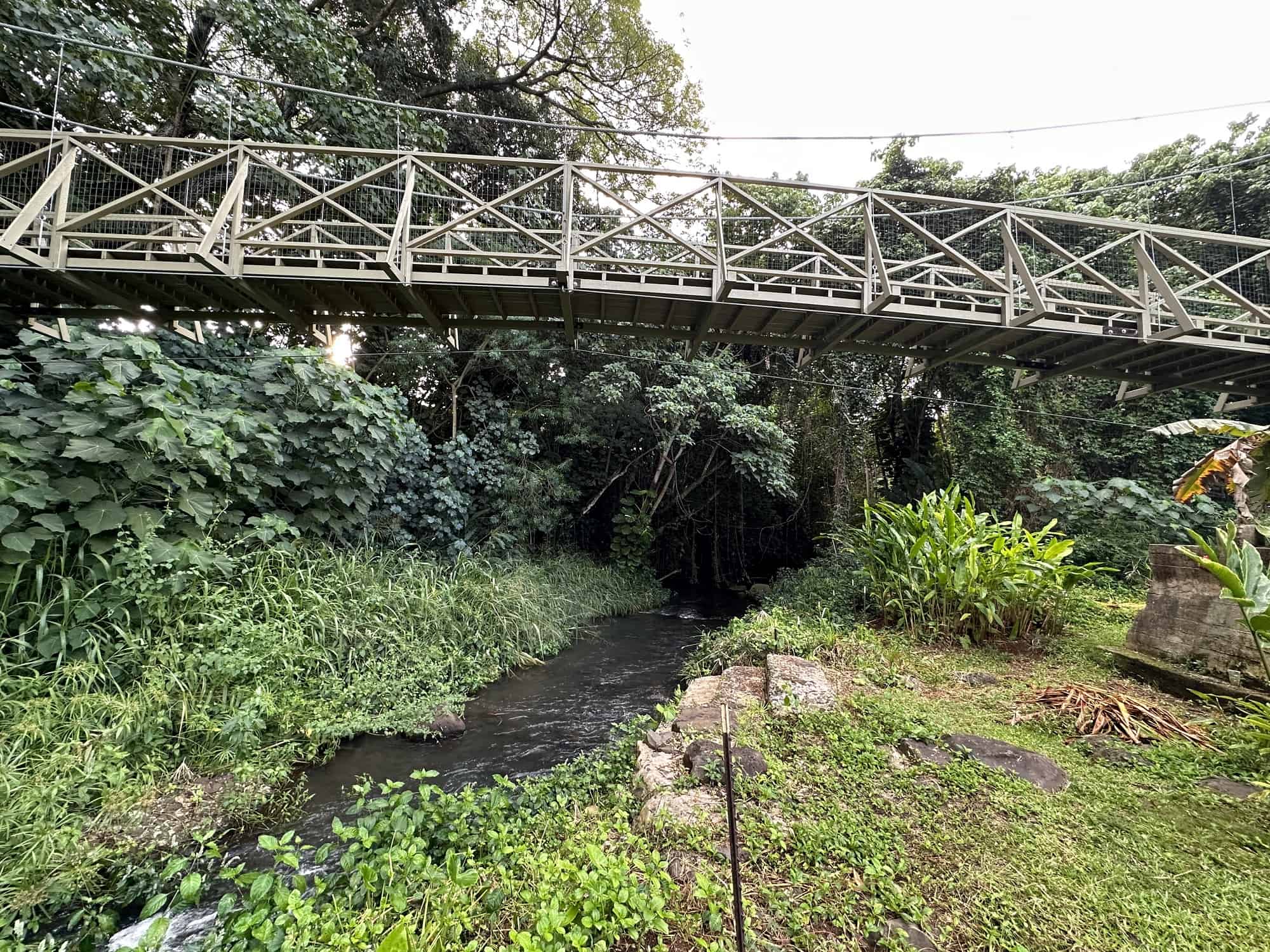 Kapaia Swinging Bridge