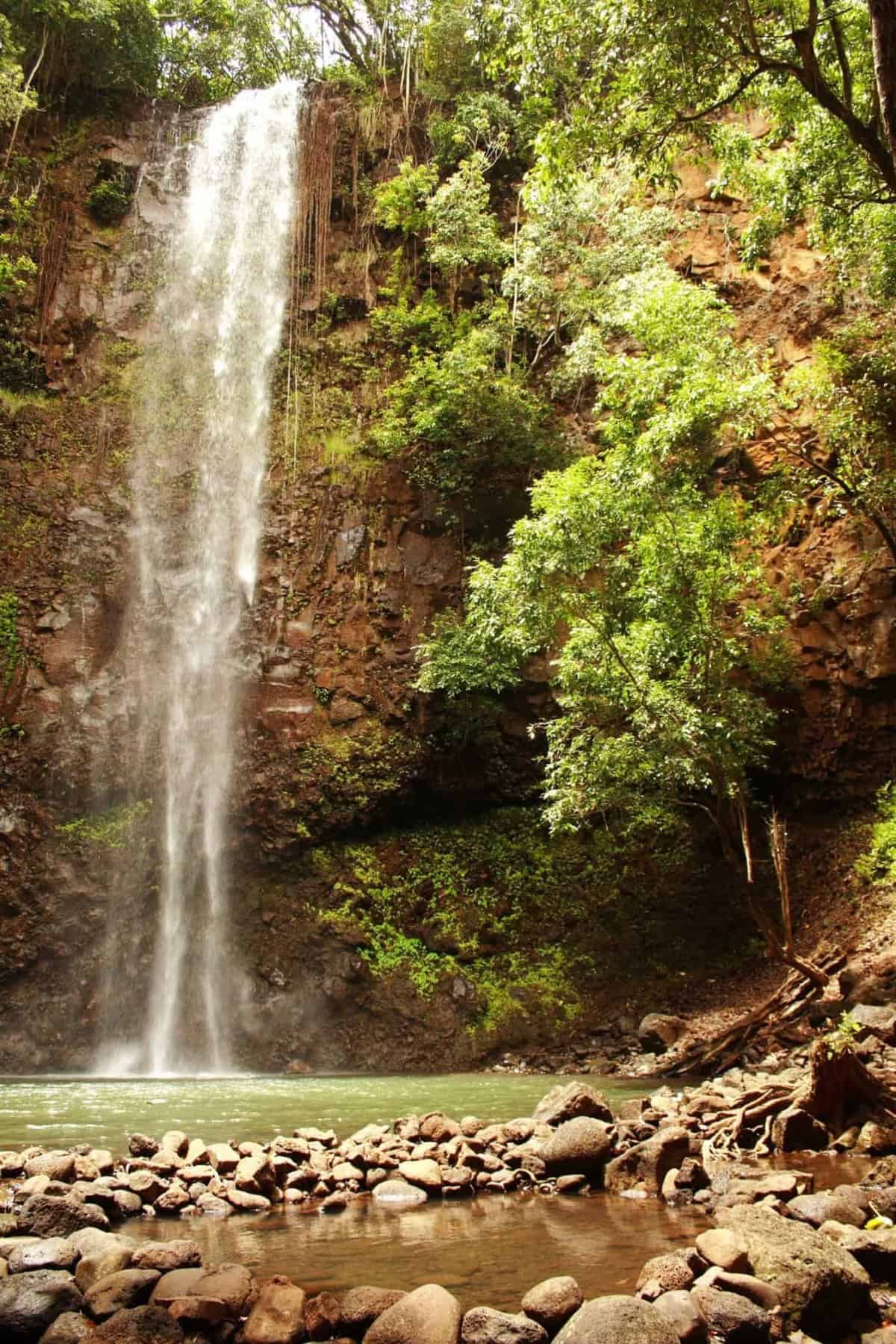 Secret Falls (Uluwehi Falls) Guide