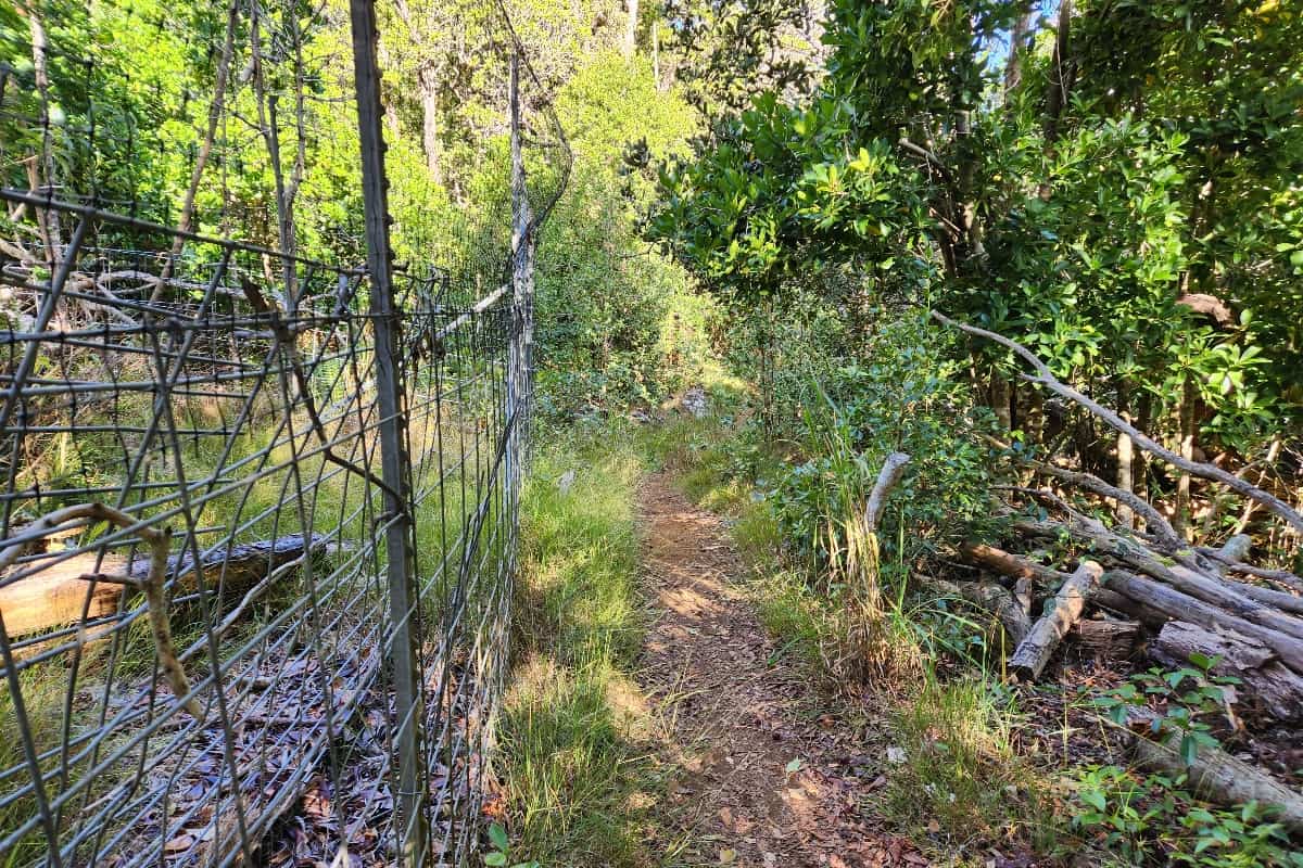Fence on the Nualolo Trail