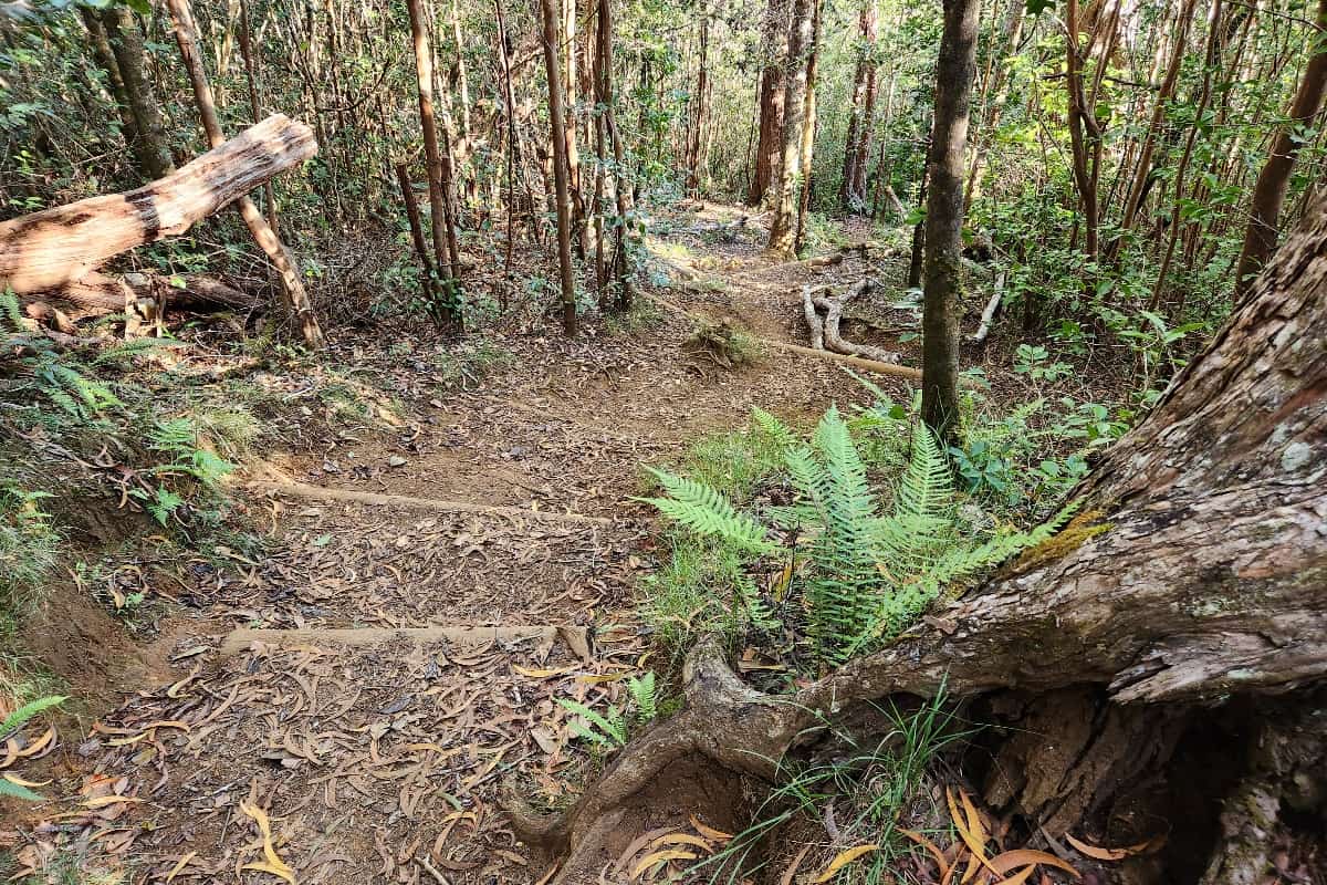 Nualolo Trail steps
