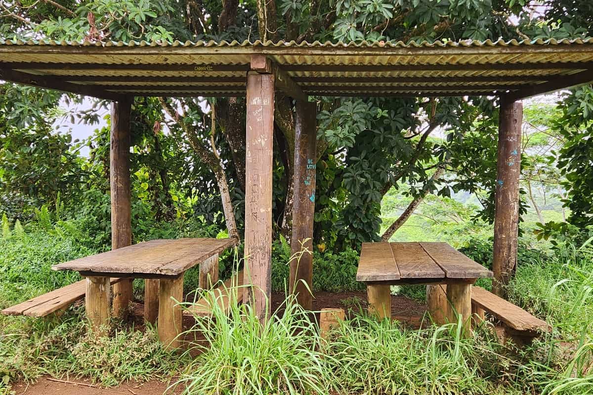 Kuilau Ridge Trail picnic tables