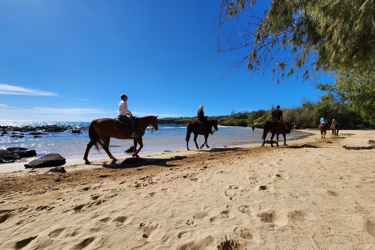CGM Stables horseback riding on the beach